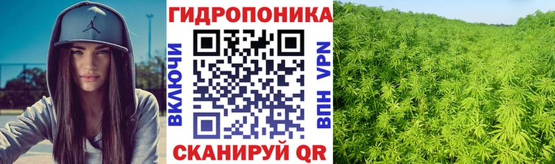 Купить наркотик аптеки Вытегра Кетамин  Героин  кракен зеркало  КОКАИН  МАРИХУАНА 