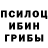 Псилоцибиновые грибы мухоморы sindija voronkova