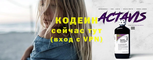индика Володарск