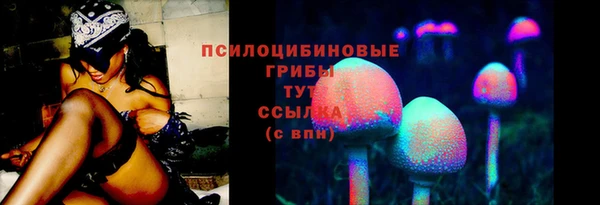 индика Володарск