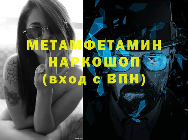 индика Володарск