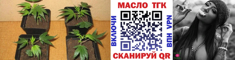 MEGA ТОР  цены   Вытегра  Дистиллят ТГК концентрат 